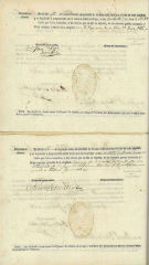 Documento5