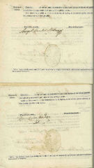 Documento11