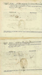 Documento15