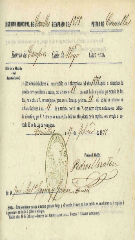 Documento22