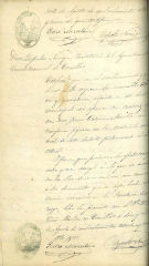 Documento185