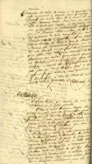 Documento239