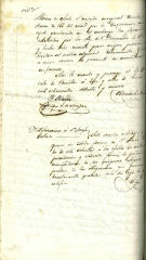Documento245