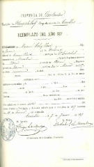 Documento310