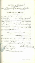 Documento313