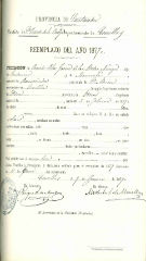Documento315
