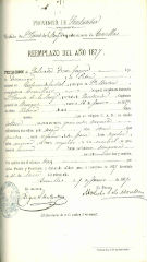 Documento319