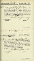 Documento325