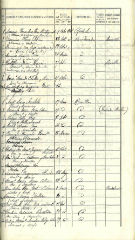 Documento331