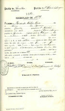 Documento333