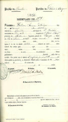 Documento334