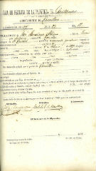 Documento364