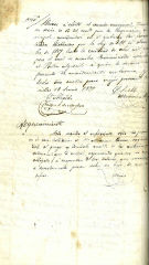 Documento372