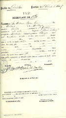Documento378