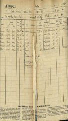 Documento389