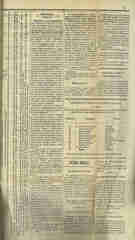 Documento401