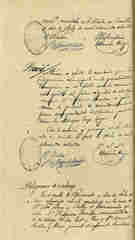 Documento404