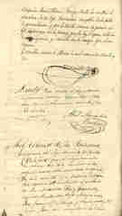 Documento443