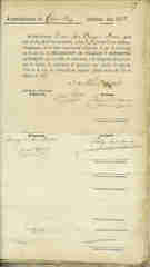 Documento101