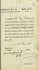 Documento126