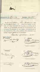 Documento163