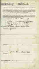 Documento195