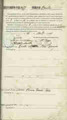 Documento204