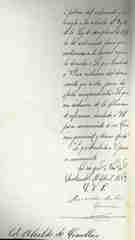 Documento217