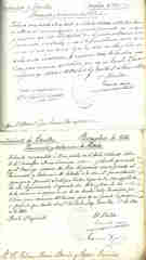 Documento163