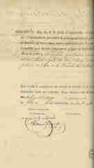 Documento196