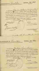 Documento228
