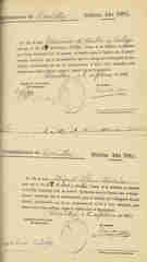 Documento229