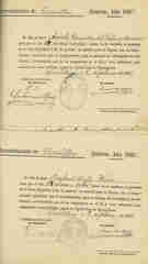 Documento230