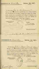 Documento231