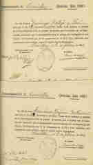 Documento232
