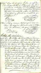 Documento242