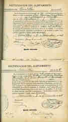 Documento275
