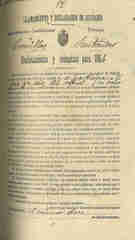 Documento305