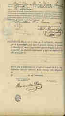Documento306