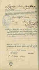 Documento311