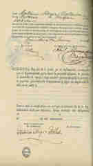Documento313