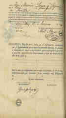 Documento316
