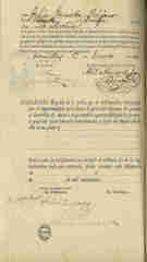 Documento317