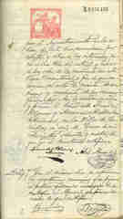 Documento338