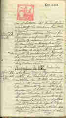 Documento343