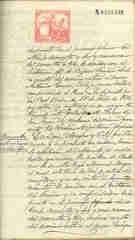 Documento347