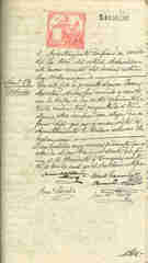 Documento351