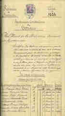 Documento381