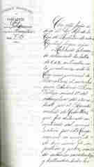 Documento416