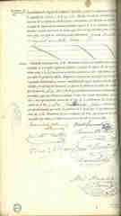 Documento447